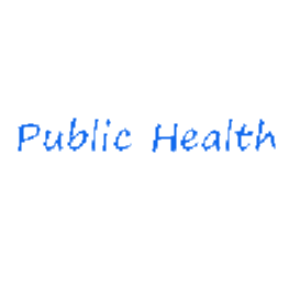 Public Health Chain