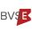 BVSE-品值链