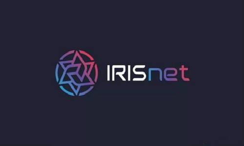读懂 IRISnet 链上治理 : 跨链服务网络的「自进化」之路