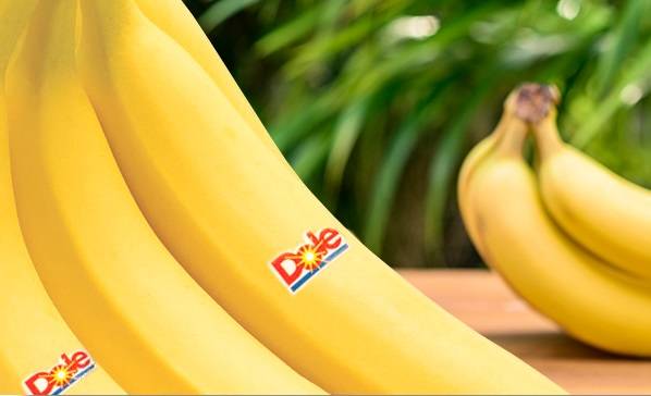 全球最大水果公司美国都乐利用区块链溯源：香蕉的旅程，你将能够了解