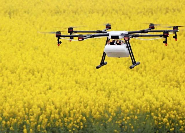 新科技下，人工智能和区块链如何改进农业生产？