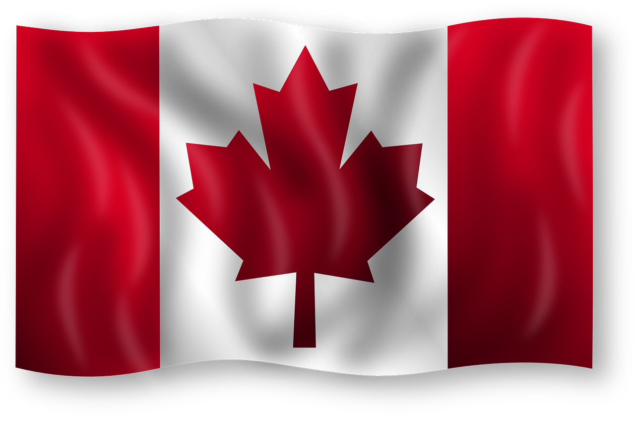 加拿大央行：央行数字货币应提高包容性和可用性