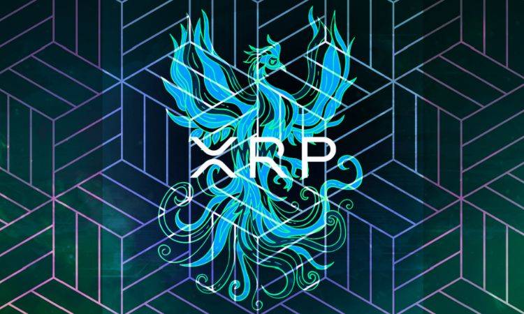 从Spark空投到XRP回购，XRP能够浴火重生吗？