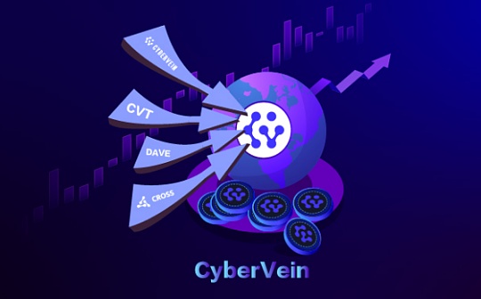 最新版CyberVein技术解析