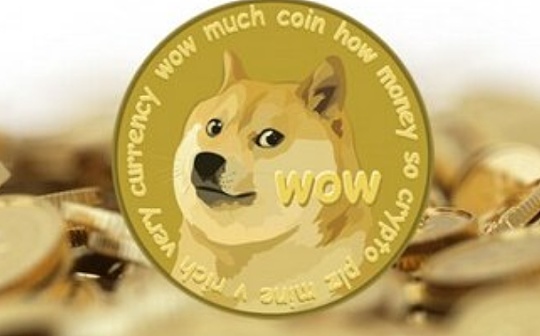 社区币代表 DOGE：Meme 正在影响投资逻辑