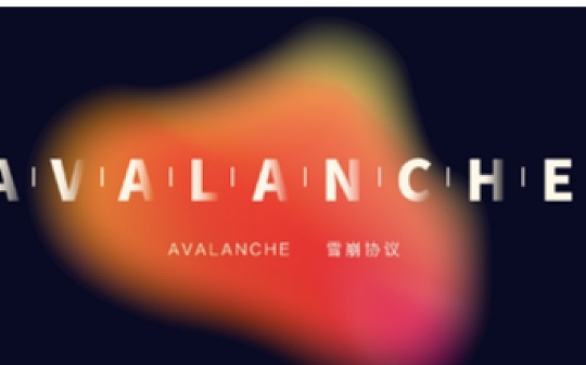 Avalanche Wilsion：AVAX价值来自共识 共识来自生态扩张