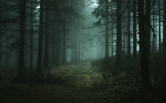 一文了解Dark Forest顶级玩家眼中的黑暗森林战争艺术