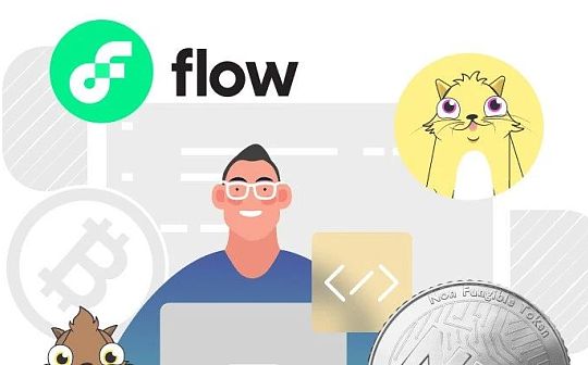 Flow VS 以太坊：深度对比两条公链以及合约开发语言
