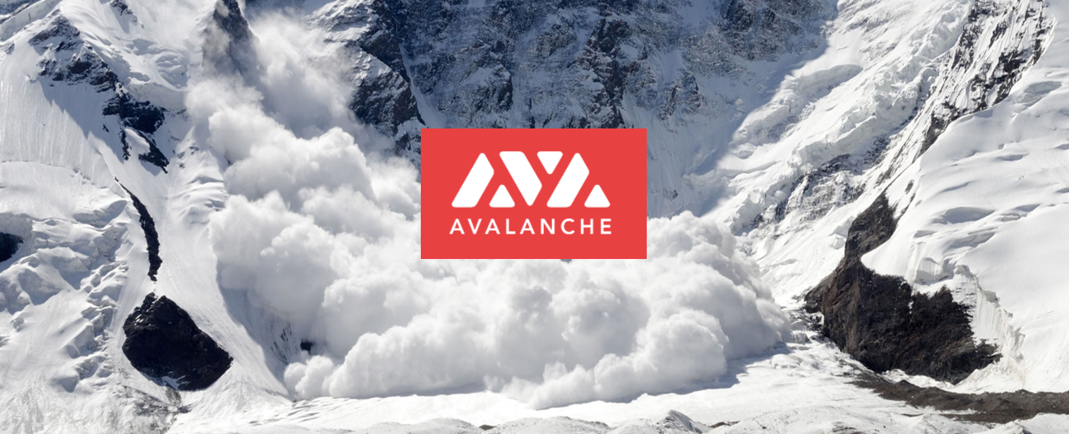 Avalanche, a Revolutionary Consensus Engine and Platform. A Game Changer  for Blockchain | by Seq | Avalanche Hub | Medium
