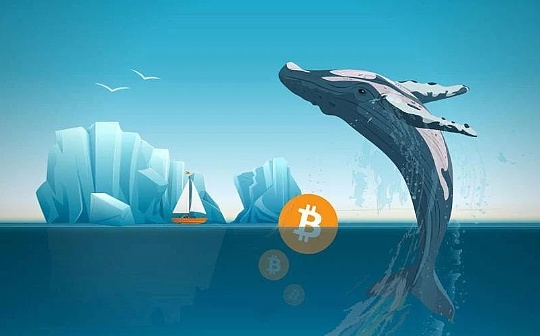 日收益近500万 这些Crypto巨鲸和投资机构都持有哪些资产？