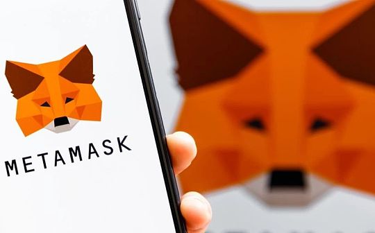 MetaMask 攻略：普通用户如何应对小狐狸记录 IP ？
