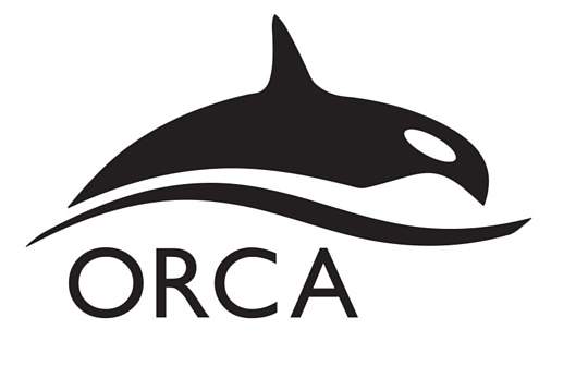 金色早报 | 去中心化交易所Orca将从3月31日开始限制美国访问