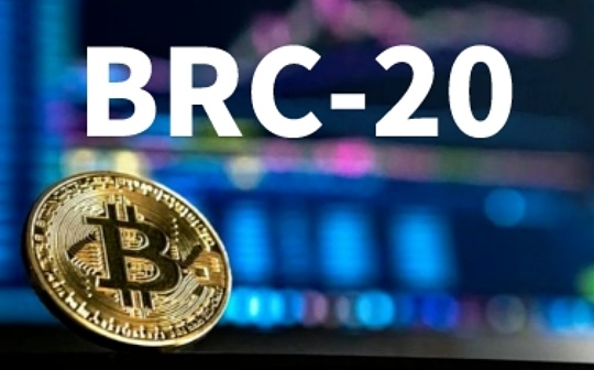 BRC-20链上数据分析