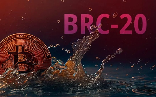 深入探讨 BRC-20 代币标准