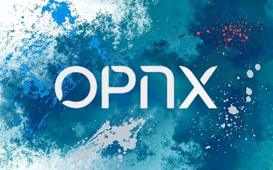 「三无」项目 IEO OPNX 的 Launchpad 到底在愚弄谁？