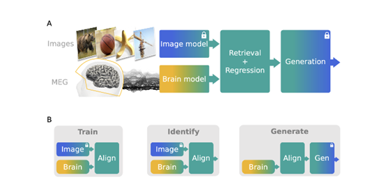用 AI 模型重构人类大脑成像过程，Meta 发布重磅研究