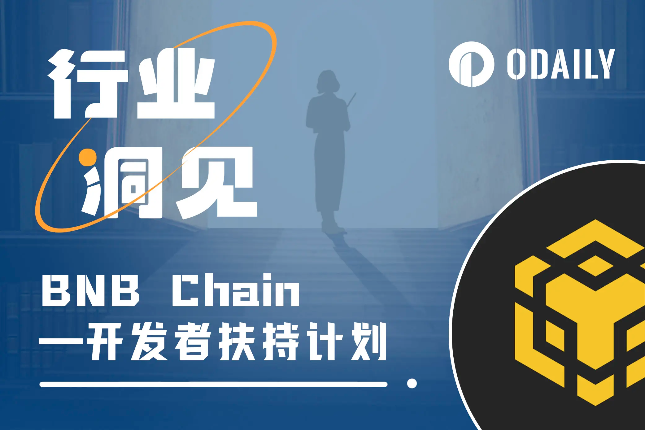 详解BNB Chain生态扶持计划：初创团队请留步