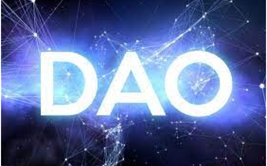SeeDAO投研 | 常用的DAO治理工具：身份与地址管理篇