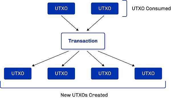 从BTC到Sui、ADA与Nervos：UTXO模型及其相关扩展