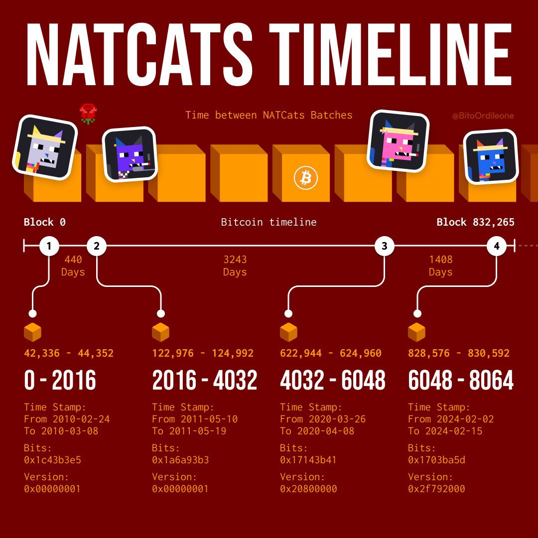 Natcats一周十倍，DMT概念小图片究竟是什么？