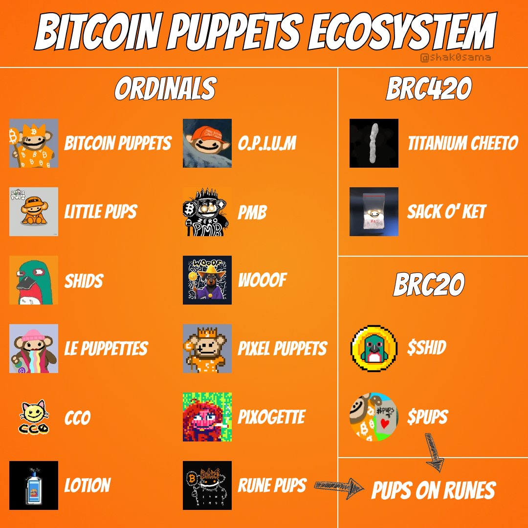 从文化到产品，Bitcoin Puppets的终极指南