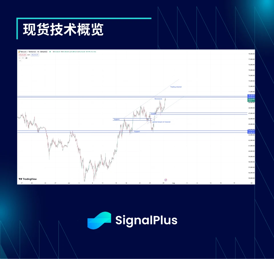 BTC波动率：一周回顾2024年7月22日–29日