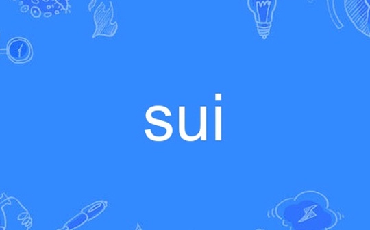 探索 Sui：高性能背后的技术与合约安全