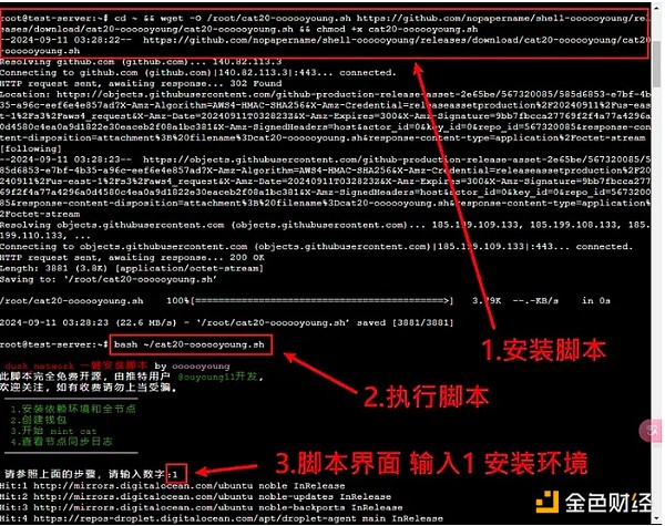 五分钟完成 Fractal 分型网络 CAT Protocol 代币铸造教程（一键脚本）