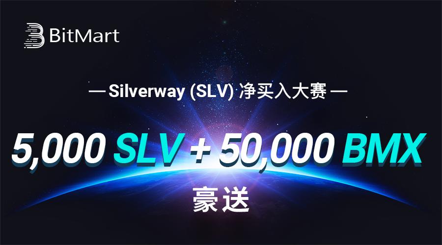 SLV900.png